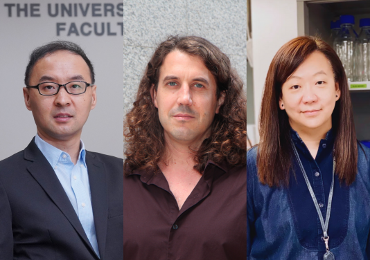 Professor Xuechen Li is awarded Senior Research Fellow. Professor Judy Wai Ping Yam and Dr Joseph Michalski are awarded Research Fellows